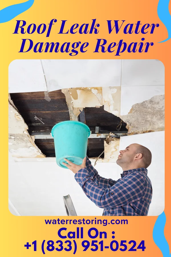 Roof Leak Water Damage Repair in Arizona Village, AZ